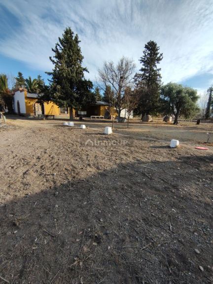 Bodega en Venta en San Rafael, Mendoza