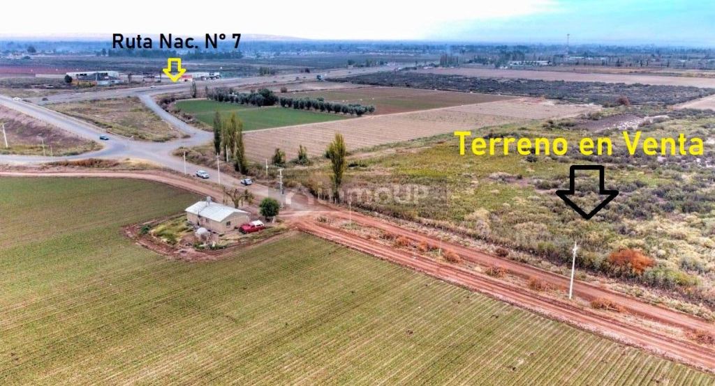 Finca en Venta en Maipu, Mendoza