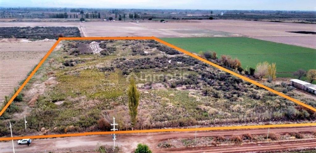 Finca en Venta en Maipu, Mendoza
