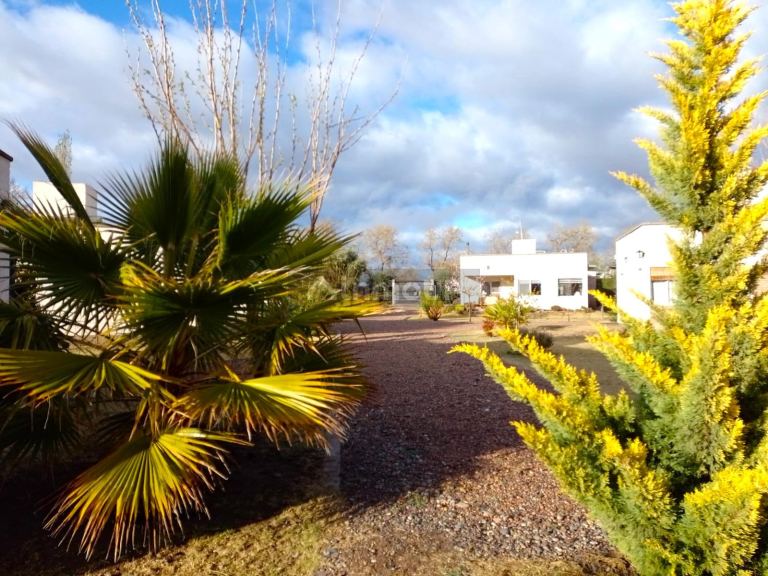 Quinta en Venta en San Rafael, Mendoza