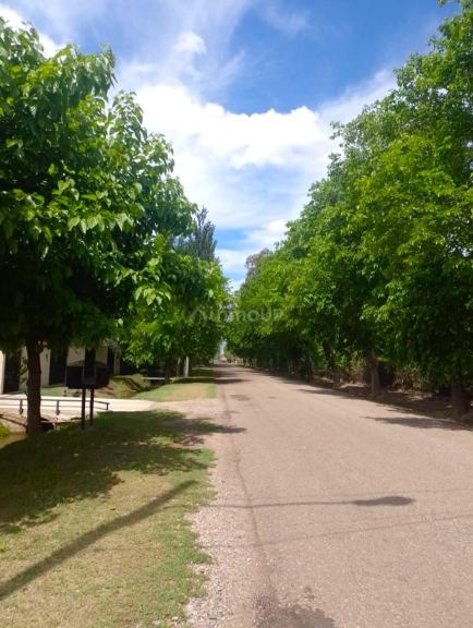 Quinta en Venta en San Rafael, Mendoza