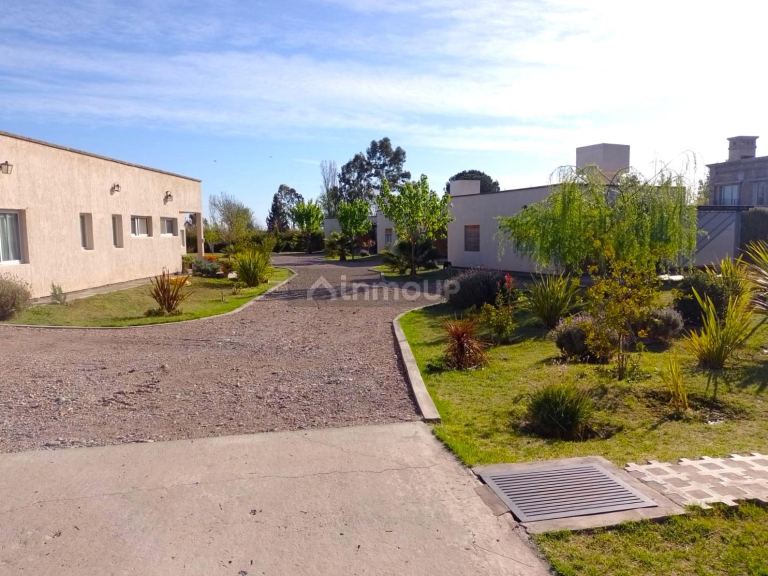 Quinta en Venta en San Rafael, Mendoza