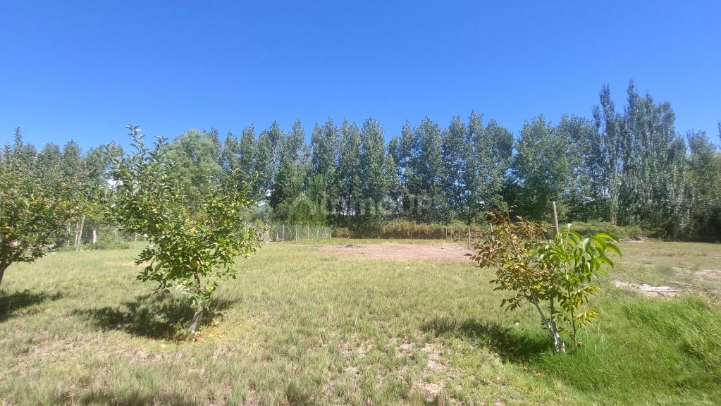 Lote en Venta en Tunuyan, Mendoza