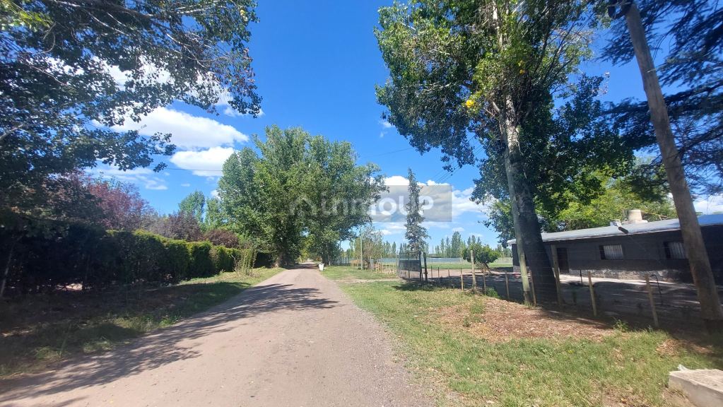 Lote en Venta en Tunuyan, Mendoza