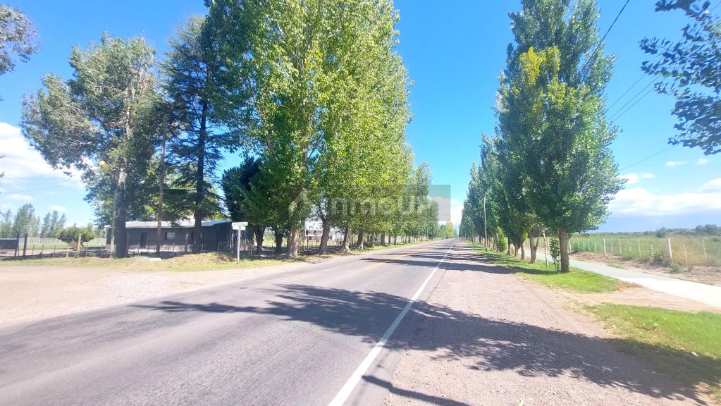 Lote en Venta en Tunuyan, Mendoza