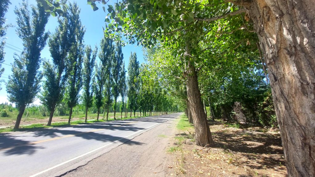 Lote en Venta en Tunuyan, Mendoza