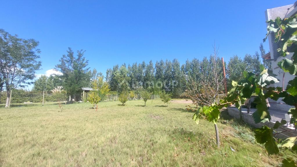 Lote en Venta en Tunuyan, Mendoza