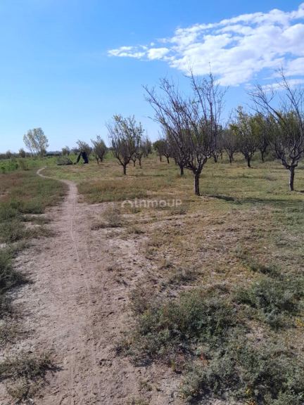 Finca en Venta en Las Heras, Mendoza