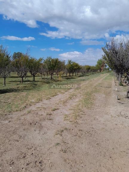 Finca en Venta en Las Heras, Mendoza