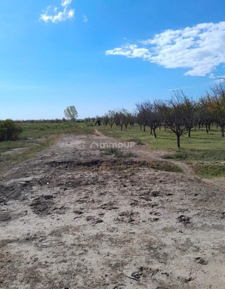 Finca en Venta en Las Heras, Mendoza