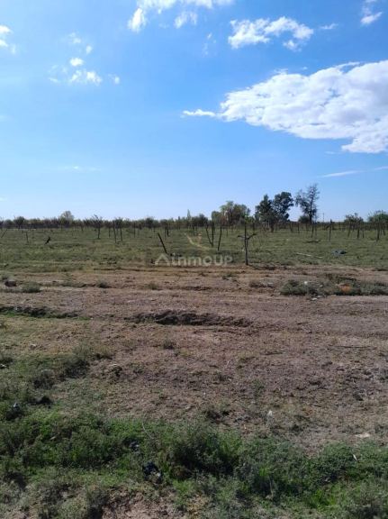 Finca en Venta en Las Heras, Mendoza