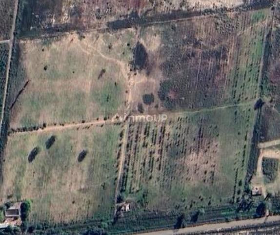 Finca en Venta en Las Heras, Mendoza