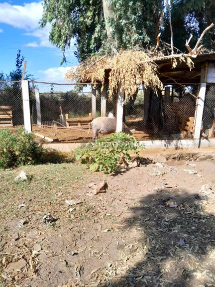 Finca en Venta en Las Heras, Mendoza