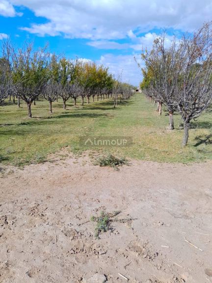 Finca en Venta en Las Heras, Mendoza