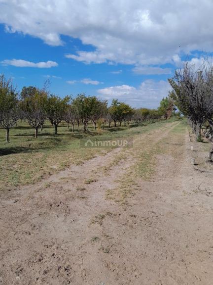 Finca en Venta en Las Heras, Mendoza