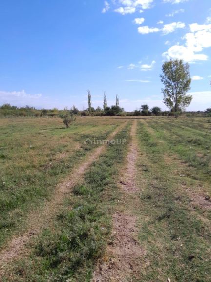 Finca en Venta en Las Heras, Mendoza