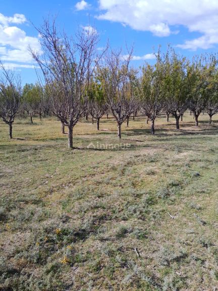 Finca en Venta en Las Heras, Mendoza