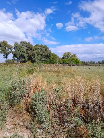 Finca en Venta en Las Heras, Mendoza