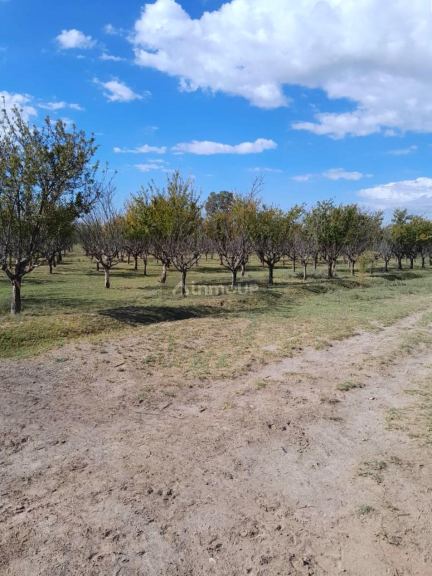Finca en Venta en Las Heras, Mendoza