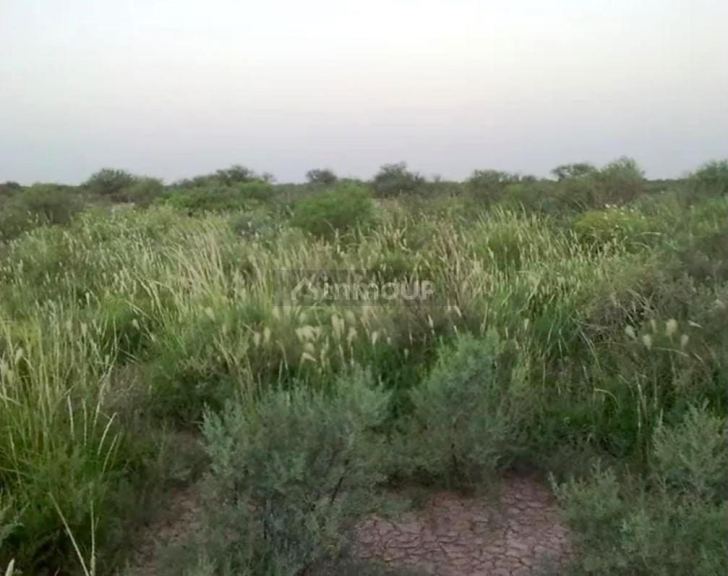 Campo en Venta en La Paz, Mendoza