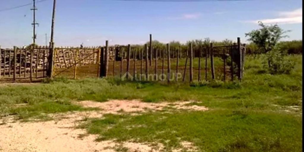 Campo en Venta en La Paz, Mendoza