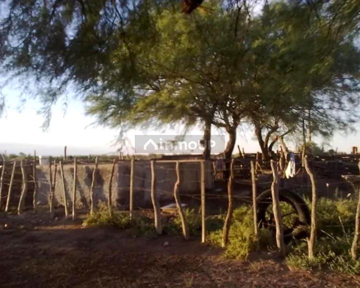 Campo en Venta en La Paz, Mendoza