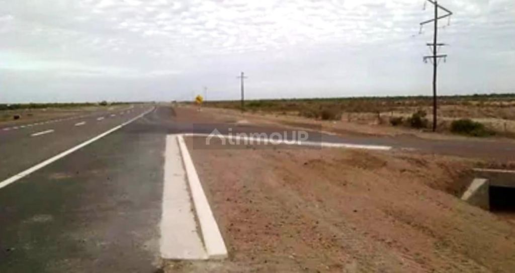 Campo en Venta en La Paz, Mendoza