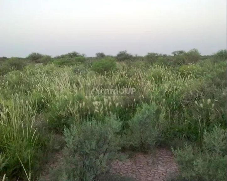 Campo en Venta en La Paz, Mendoza