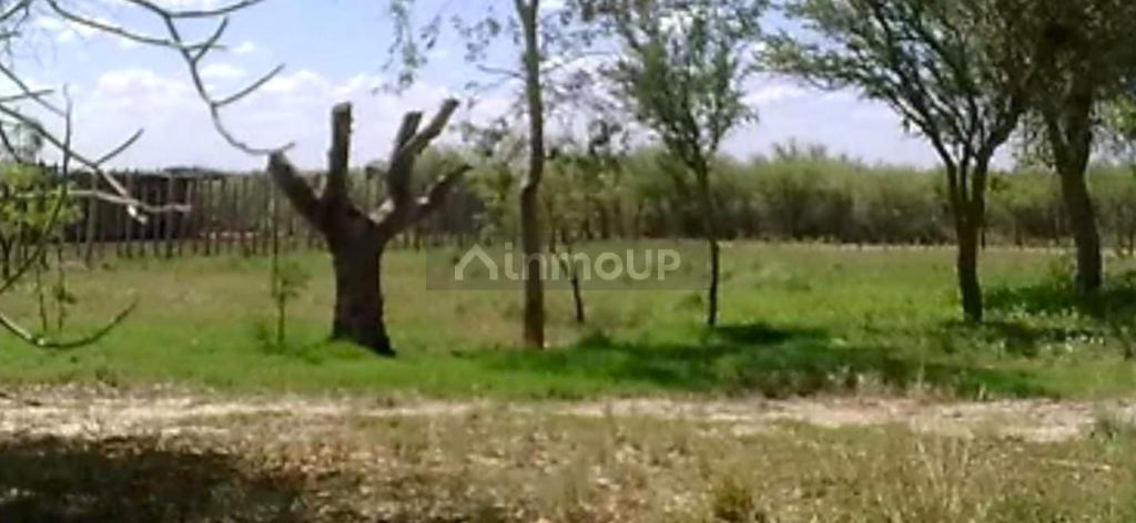 Campo en Venta en La Paz, Mendoza