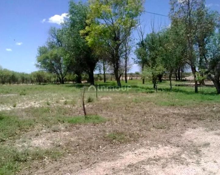 Campo en Venta en La Paz, Mendoza