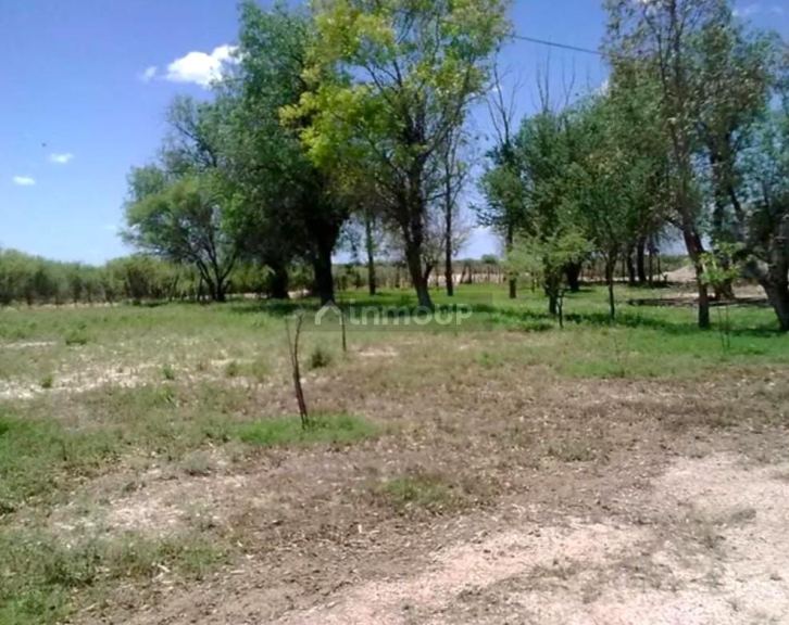 Campo en Venta en La Paz, Mendoza