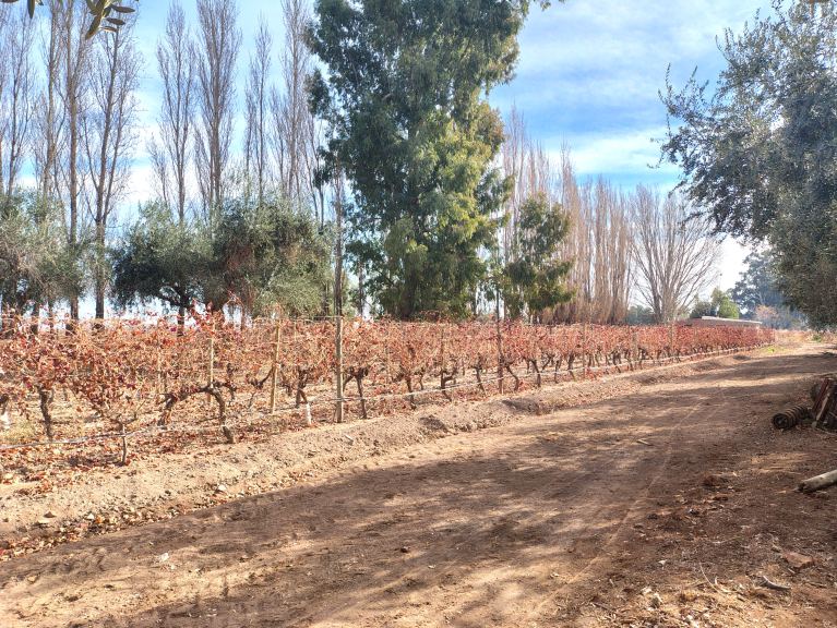 ¡¡¡…*ADYAC. RUTA NAC. 40*..!!! s/\calle La Administración/\Las Catorce/\Cjón. Mercado