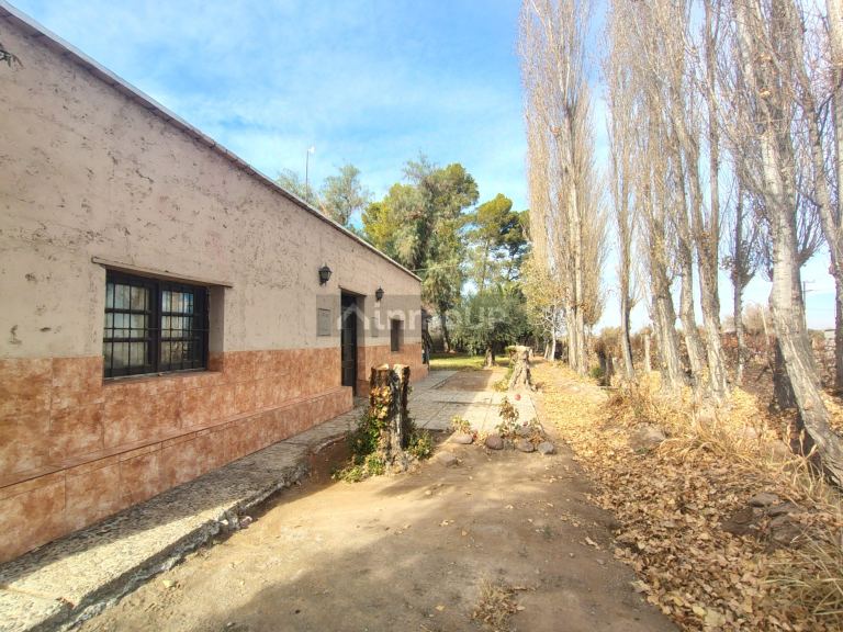 Finca en Venta en Lavalle, Mendoza