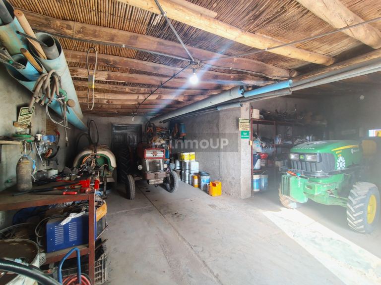 Viñedo en Venta en Lavalle, Mendoza