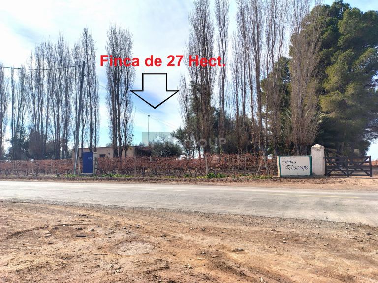 Viñedo en Venta en Lavalle, Mendoza