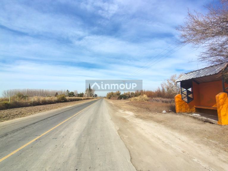 Viñedo en Venta en Lavalle, Mendoza