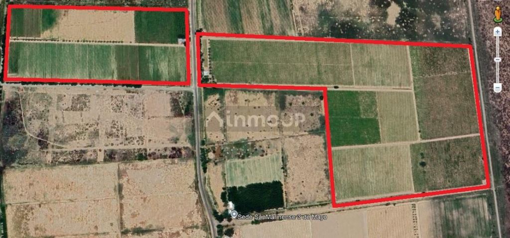 Viñedo en Venta en Lavalle, Mendoza