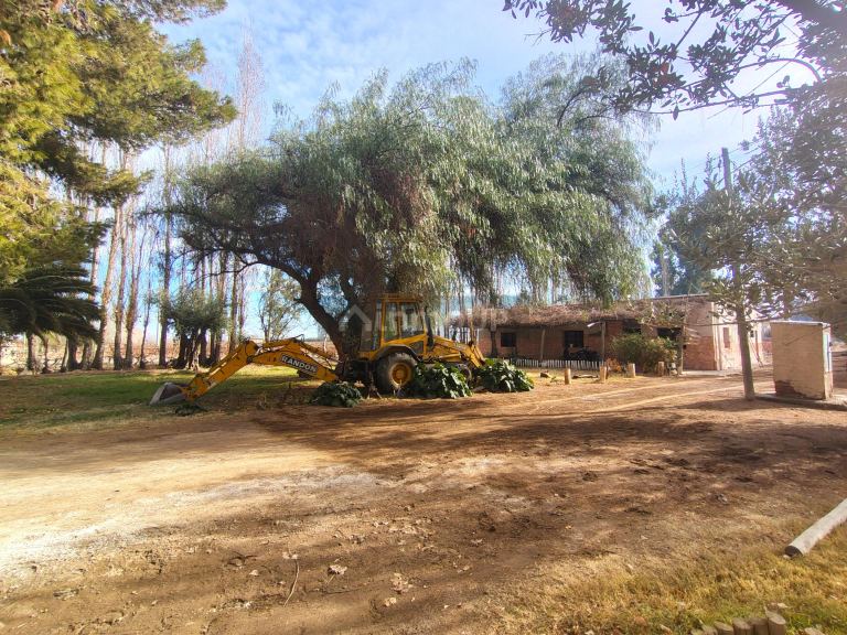Viñedo en Venta en Lavalle, Mendoza