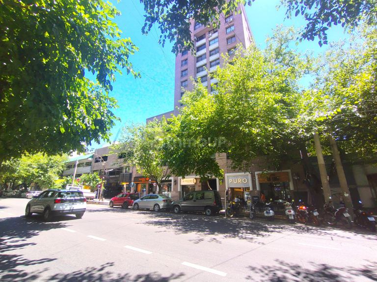 Departamento en Alquiler en Capital, Mendoza