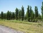 Campo en Venta en 25 de Mayo, San Juan