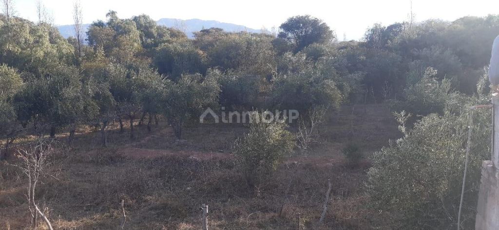 Finca en Venta en Famatina, La Rioja