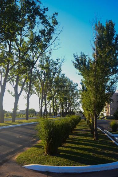 Terreno en Venta en Presidente Peron, G.B.A. Zona Sur