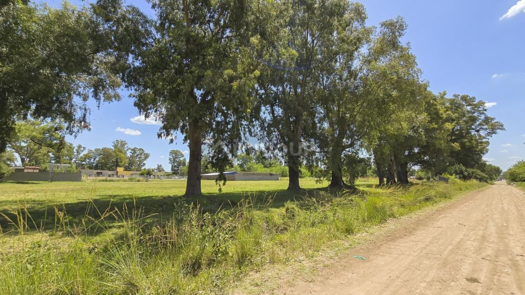 Terreno en Venta en San Vicente, G.B.A. Zona Sur