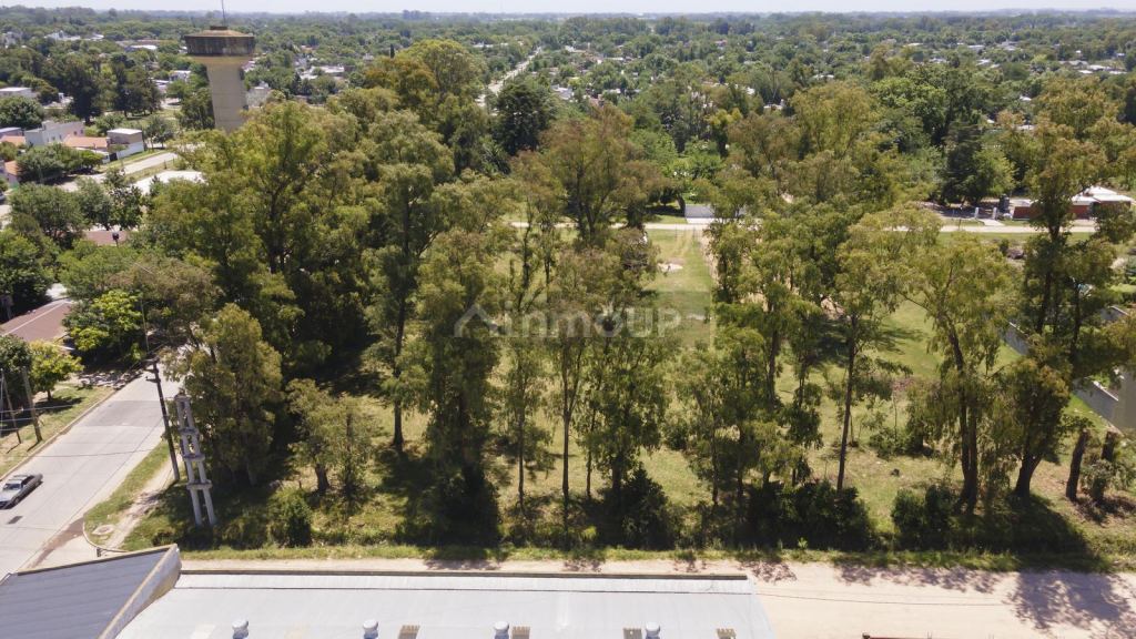Terreno en Venta en San Vicente, G.B.A. Zona Sur