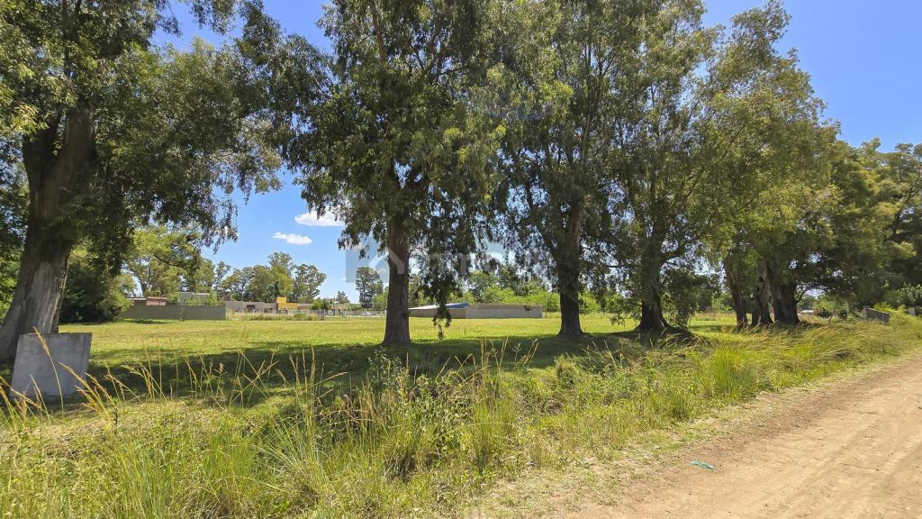 Terreno en Venta en San Vicente, G.B.A. Zona Sur