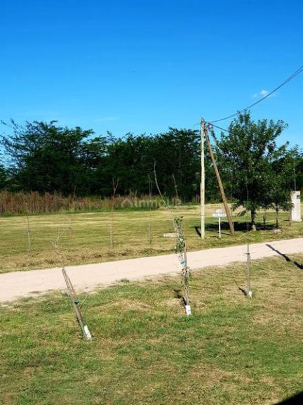 Terreno en Venta en San Vicente, G.B.A. Zona Sur