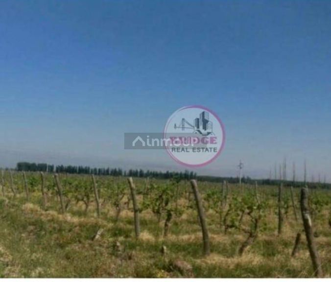 Lavalle El Pantano S/N° por callejon de servidumbre