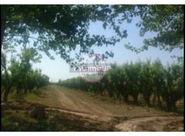 Lavalle El Pantano S/N° por callejon de servidumbre
