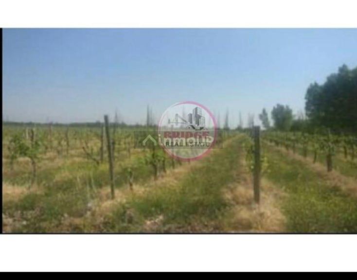 Lavalle El Pantano S/N° por callejon de servidumbre