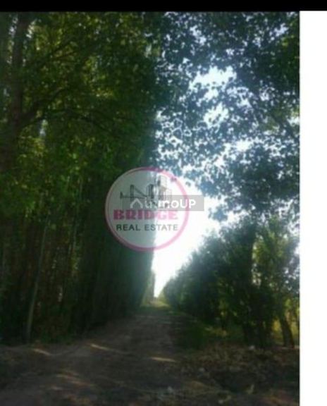 Finca en Venta en Lavalle, Mendoza